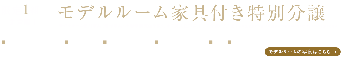 家具付き特別分譲受付開始